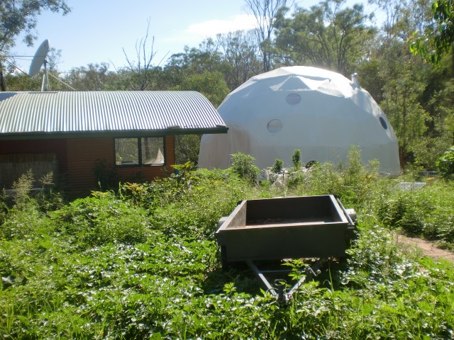 The paddy-melon took over, providing great cover for the normally exposed sandy granite soil. 