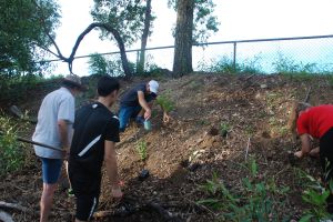 Planting - 12 Apr 2015