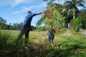 Weeding fun 2- 12 Apr 2015