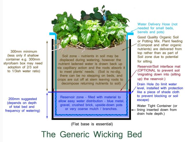wicking-bed-copy