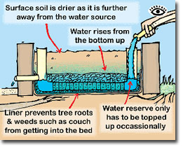 Watering from bottom up. Image retrieved from http://peterdilley.tumblr.com/page/3