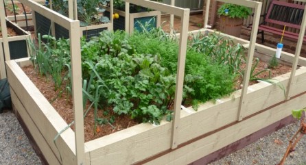 Wicking Worm- Bed. Retrieved from http://www.sgaonline.org.au/worm-wicking-one-year-on/