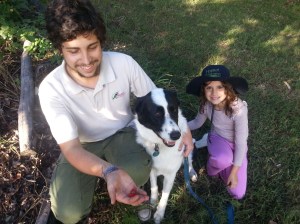 Large Fruited Raspberry