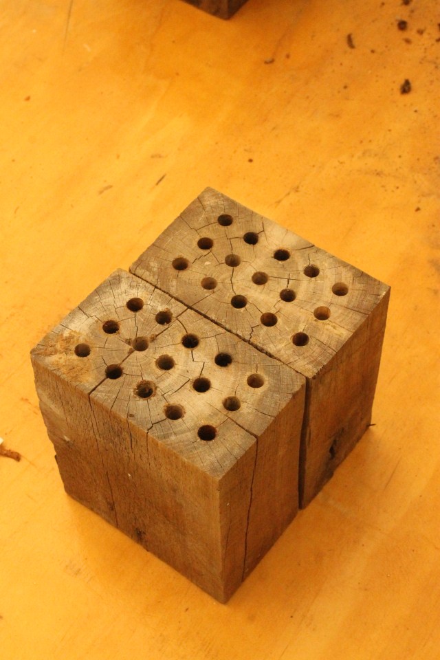 Creating Native Bee Homes | Pollinator Link