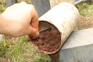 Create the space and they will come