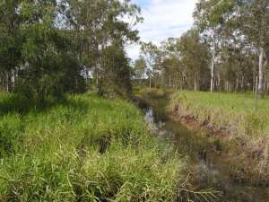 Creek to Bramble Bay
