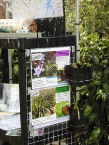 polliantor-link-display-sprinkler-3-nov-2016