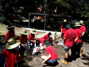 bunnings-and-students-31-jan-2016
