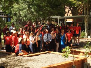 ready-to-plant-31-jan-2017-lowres