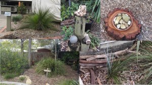 Leanne garden - 9 Aug 2016