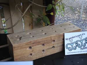 New tenant inspecting Bee Home - 7 Feb 2017