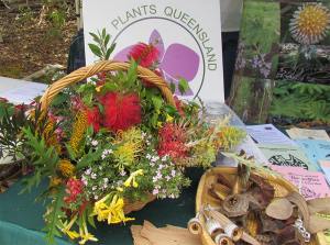 Native Plants Qld