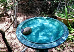 Blue birdbath