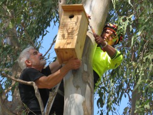 Salinda on the job - 13 Sept 2018