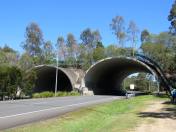 Compton Road fauna bridge lr