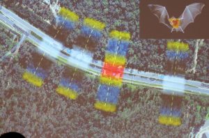 Micro-bat corridor use lr