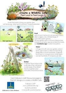 Create a Wildlife Cafe