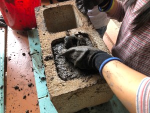 Filling Bee Home 1 - 16 April 2019