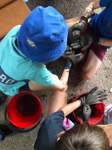 Mud Puddling - 16 April 2019