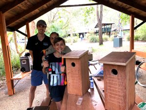 New bird homes - 16 April 2019