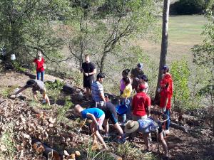 Team action - 28 April 2019