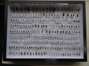 5E37F8AD-9742-44A5-9925-D2BD9B775967