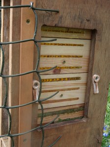 6181B079-96BF-420B-A5B9-0C486710EBF3