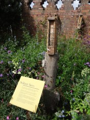 66620D49-417C-4CF9-8566-36416C7C41D0