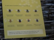 99C761B4-3DCB-42ED-A983-5C0E4B0AE3CA