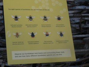 99C761B4-3DCB-42ED-A983-5C0E4B0AE3CA