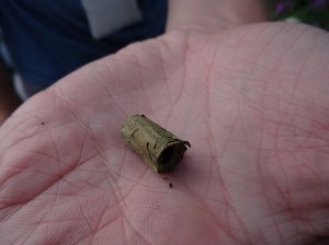 AB677F70-D833-4589-B096-890E4EDAE954