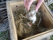 CEF4430F-BC78-4E60-A1ED-06C8D1B20073