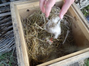 CEF4430F-BC78-4E60-A1ED-06C8D1B20073