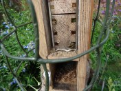 E3FA88A8-0D29-44E9-ACC1-E55FAAD19C02