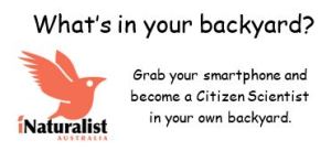 iNaturalist header
